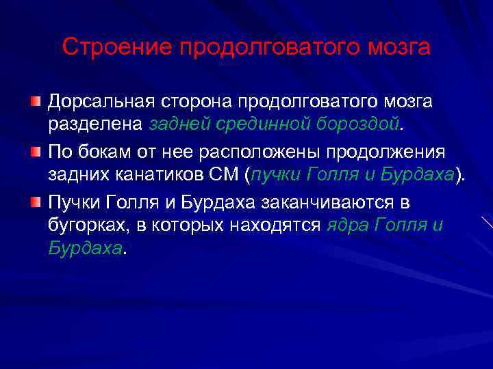 Строение продолговатого мозга Дорсальная сторона продолговатого мозга разделена задней срединной бороздой. По бокам от