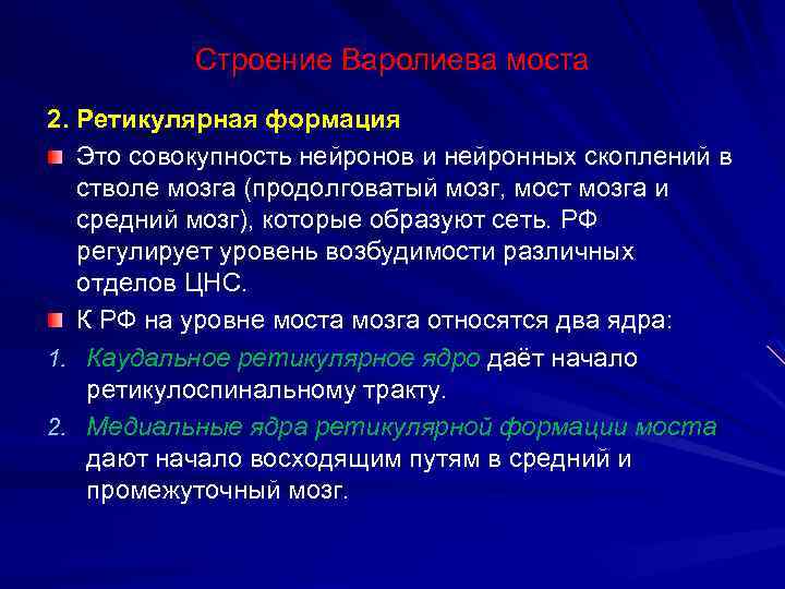 Строение Варолиева моста 2. Ретикулярная формация Это совокупность нейронов и нейронных скоплений в стволе