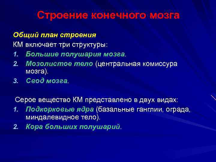 Строение конечного мозга Общий план строения КМ включает три структуры: 1. Большие полушария мозга.
