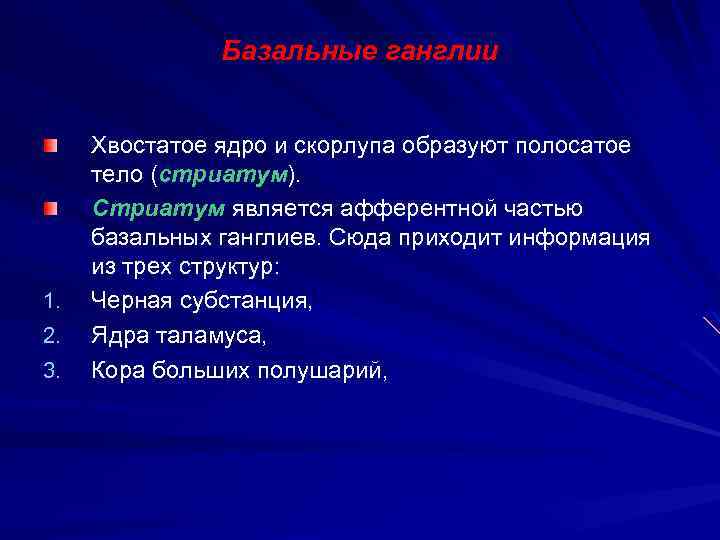 Базальные ганглии 1. 2. 3. Хвостатое ядро и скорлупа образуют полосатое тело (стриатум). Стриатум