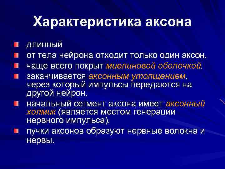 Характеристика аксона длинный от тела нейрона отходит только один аксон. чаще всего покрыт миелиновой