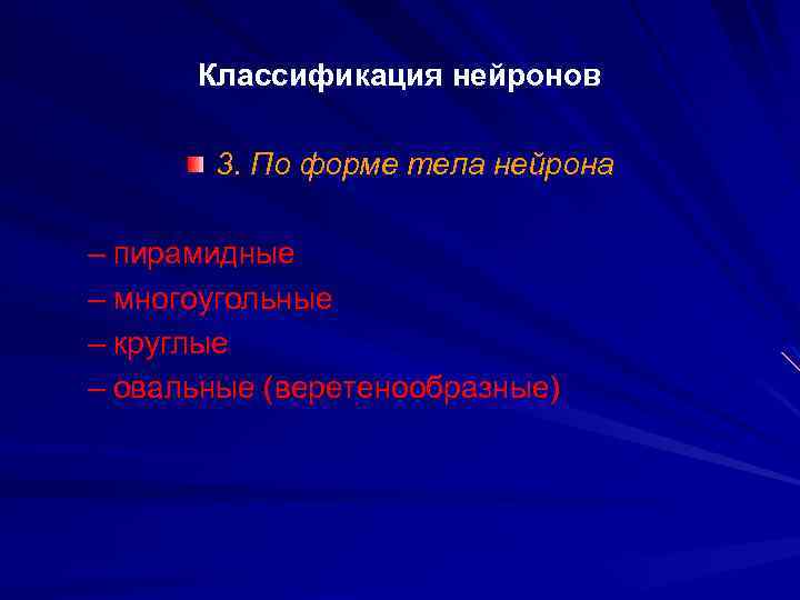 Классификация нейронов 3. По форме тела нейрона – пирамидные – многоугольные – круглые –