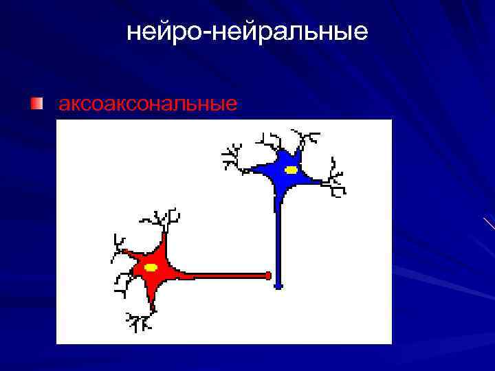 Нейральные. Нейро аксональная. Нейрального происхождения. Аксональный цилиндр.