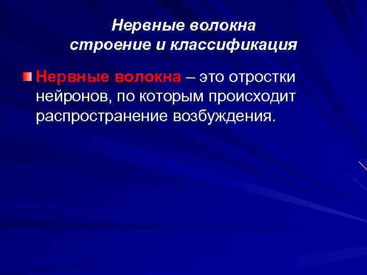 Нервные волокна строение и классификация Нервные волокна – это отростки нейронов, по которым происходит