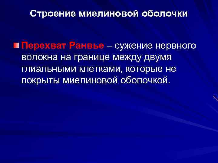 Строение миелиновой оболочки Перехват Ранвье – сужение нервного волокна на границе между двумя глиальными