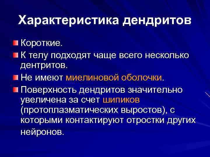 Характеристика дендритов Короткие. К телу подходят чаще всего несколько дентритов. Не имеют миелиновой оболочки.