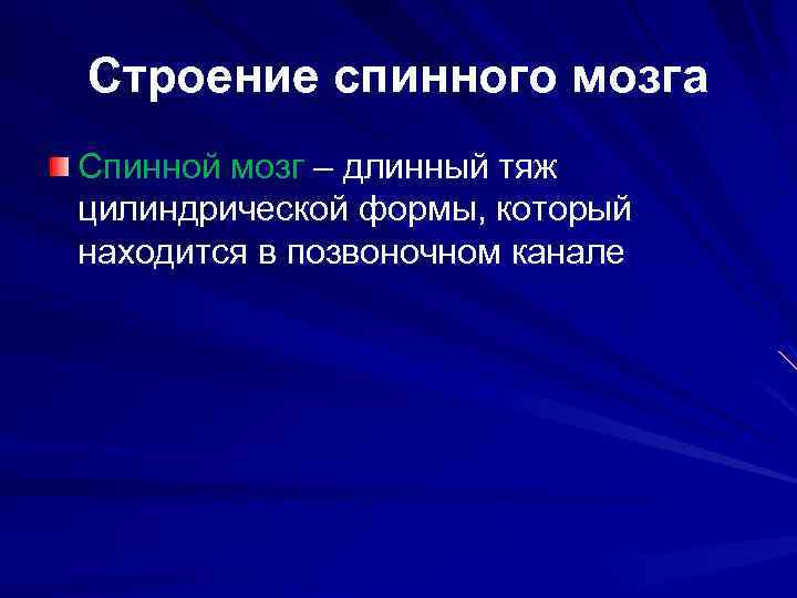 Строение спинного мозга Спинной мозг – длинный тяж цилиндрической формы, который находится в позвоночном