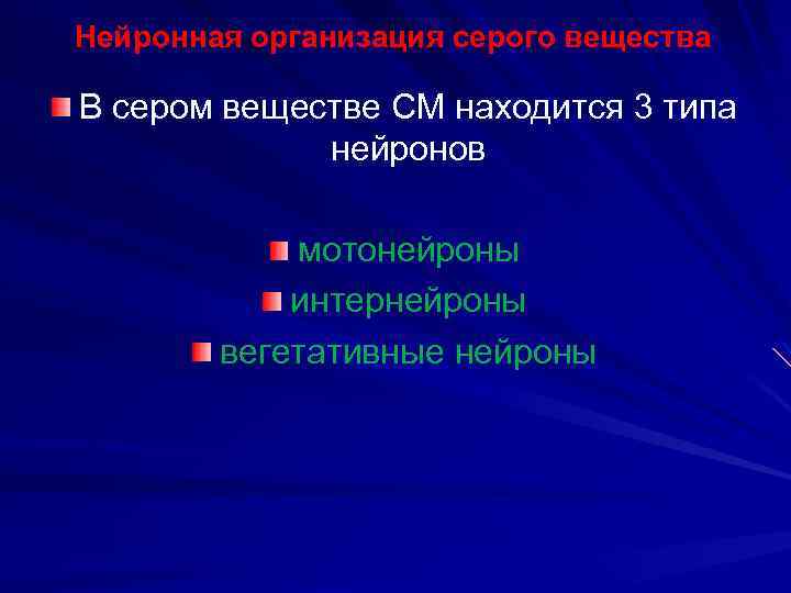 Нейронная организация серого вещества В сером веществе СМ находится 3 типа нейронов мотонейроны интернейроны