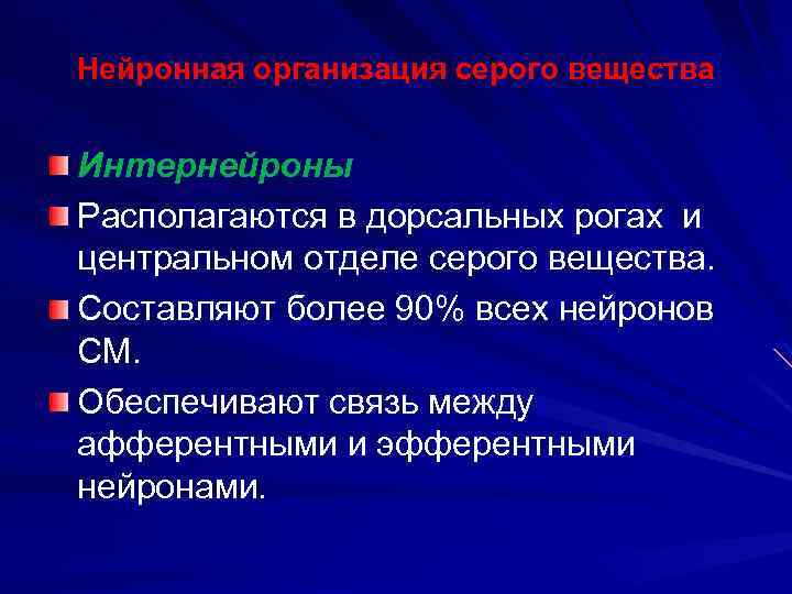 Нейронная организация серого вещества Интернейроны Располагаются в дорсальных рогах и центральном отделе серого вещества.