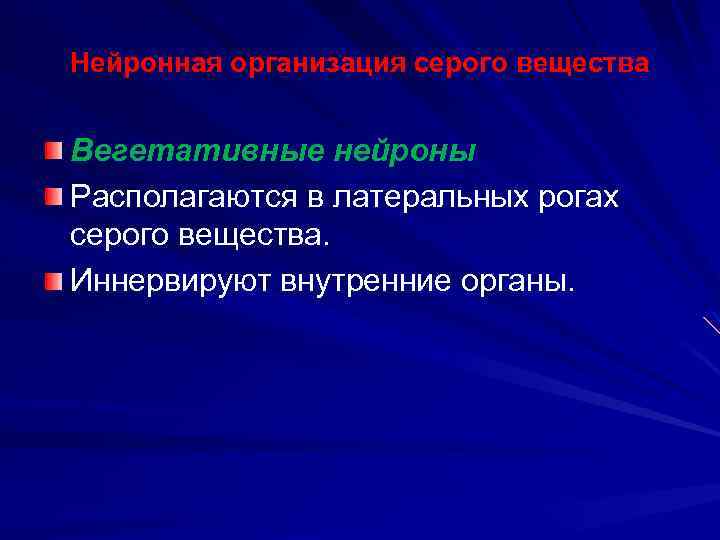 Нейронная организация серого вещества Вегетативные нейроны Располагаются в латеральных рогах серого вещества. Иннервируют внутренние
