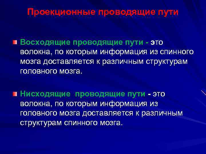 Проекционные проводящие пути Восходящие проводящие пути - это волокна, по которым информация из спинного