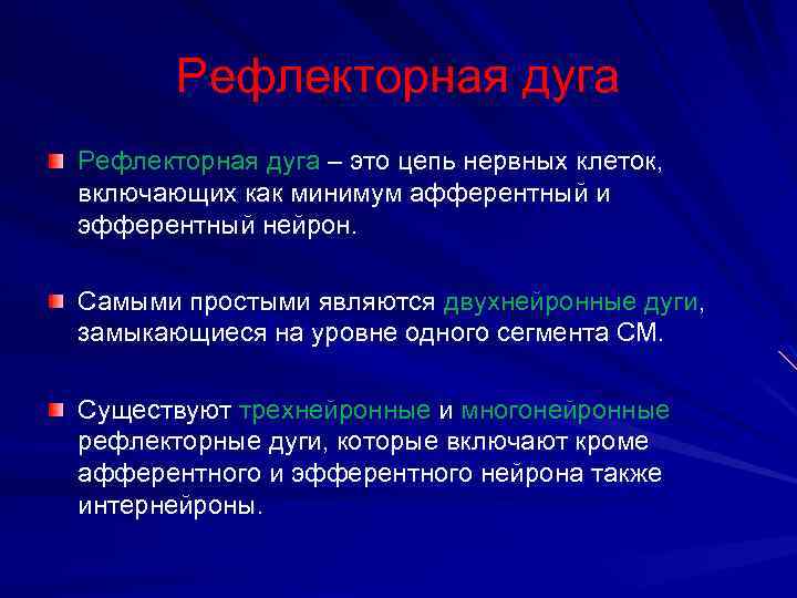 Рефлекторная дуга – это цепь нервных клеток, включающих как минимум афферентный и эфферентный нейрон.