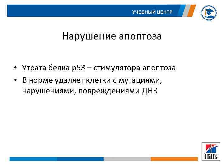 Нарушение апоптоза • Утрата белка р53 – стимулятора апоптоза • В норме удаляет клетки