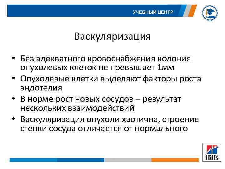 Васкуляризация • Без адекватного кровоснабжения колония опухолевых клеток не превышает 1 мм • Опухолевые