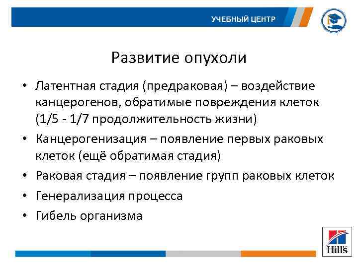 Развитие опухоли • Латентная стадия (предраковая) – воздействие канцерогенов, обратимые повреждения клеток (1/5 -