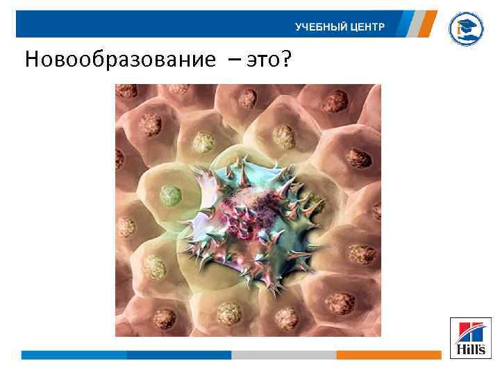 Новообразование – это? 