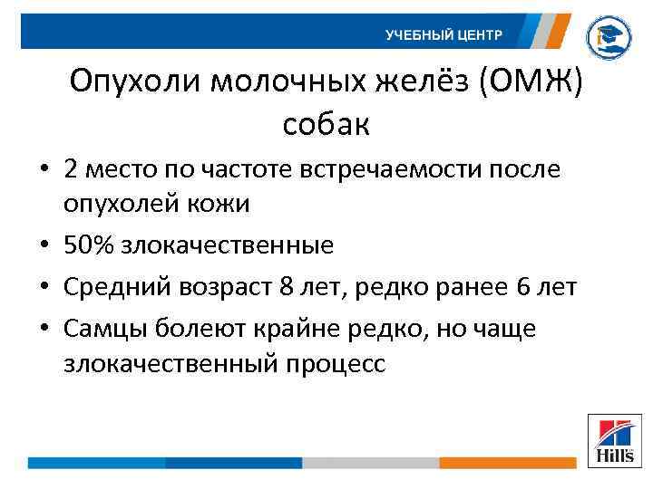 Опухоли молочных желёз (ОМЖ) собак • 2 место по частоте встречаемости после опухолей кожи