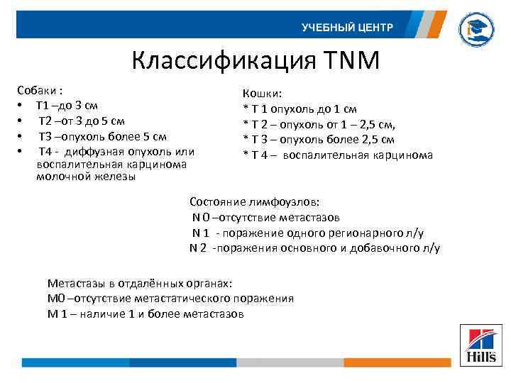 Классификация TNM Собаки : • Т 1 –до 3 см • Т 2 –от