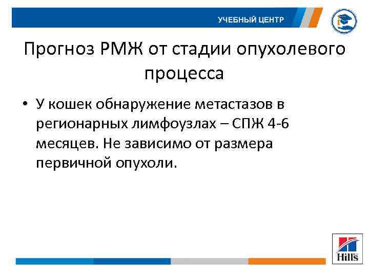 Прогноз РМЖ от стадии опухолевого процесса • У кошек обнаружение метастазов в регионарных лимфоузлах