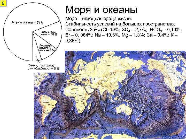 6 Моря и океаны Море – исходная среда жизни. Стабильность условий на больших пространствах