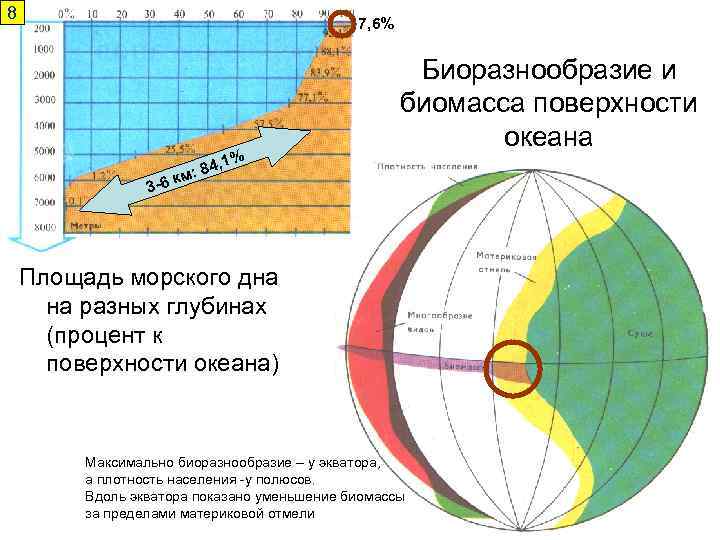 8 7, 6% , 1% 3 -6 Биоразнообразие и биомасса поверхности океана 4 м: