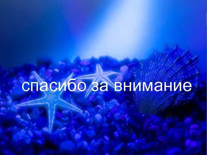 спасибо за внимание 