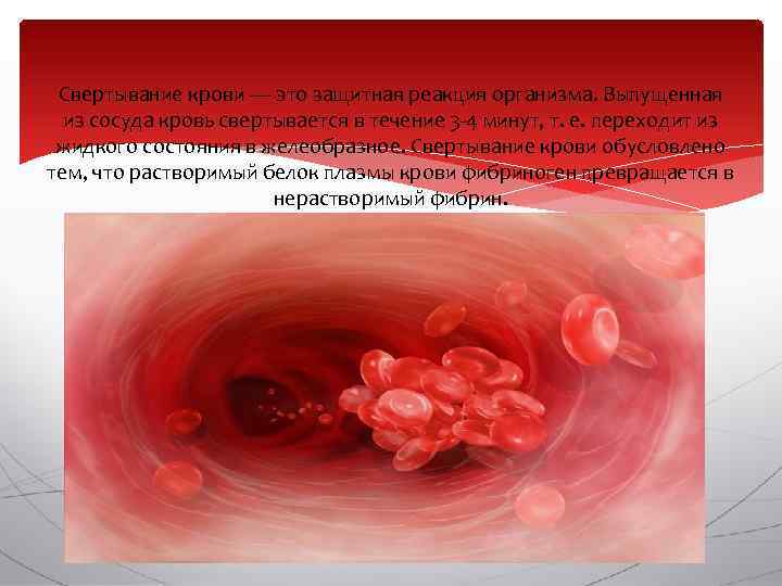 Свертывание крови — это защитная реакция организма. Выпущенная из сосуда кровь свертывается в течение