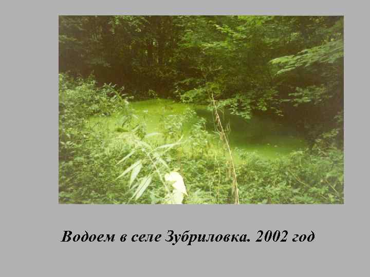 Водоем в селе Зубриловка. 2002 год 