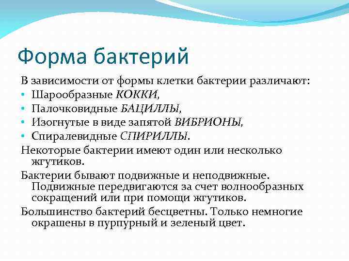 Форма бактерий В зависимости от формы клетки бактерии различают: • Шарообразные КОККИ, • Палочковидные