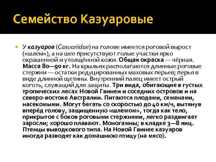 Семейство Казуаровые У казуаров (Casuariidae) на голове имеется роговой вырост ( «шлем» ), а