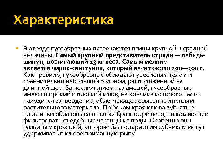 Характеристика В отряде гусеобразных встречаются птицы крупной и средней величины. Самый крупный представитель отряда