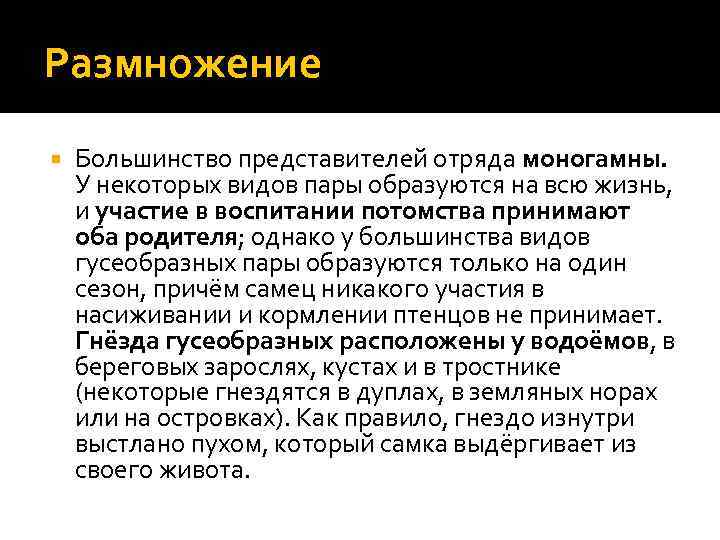 Размножение Большинство представителей отряда моногамны. У некоторых видов пары образуются на всю жизнь, и