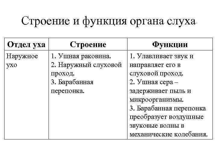 Строение и функция органа слуха Отдел уха Наружное ухо Строение Функции 1. Ушная раковина.