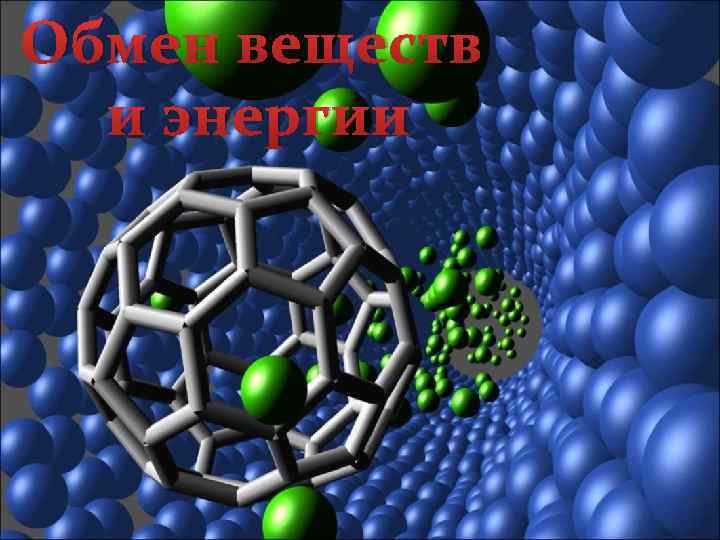 Обмен веществ и энергии 