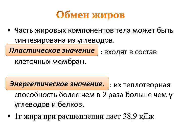  • Часть жировых компонентов тела может быть синтезирована из углеводов. • Пластическое значение