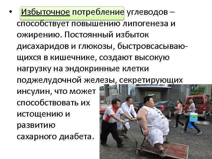  • Избыточное потребление углеводов – способствует повышению липогенеза и ожирению. Постоянный избыток дисахаридов