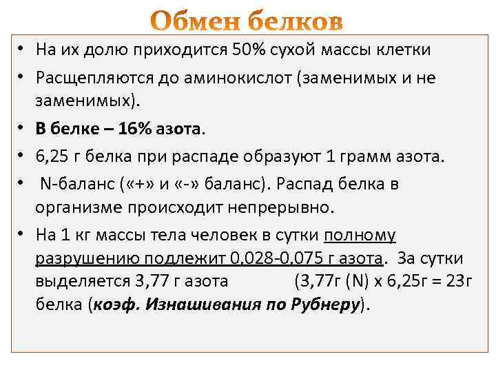  • На их долю приходится 50% сухой массы клетки • Расщепляются до аминокислот