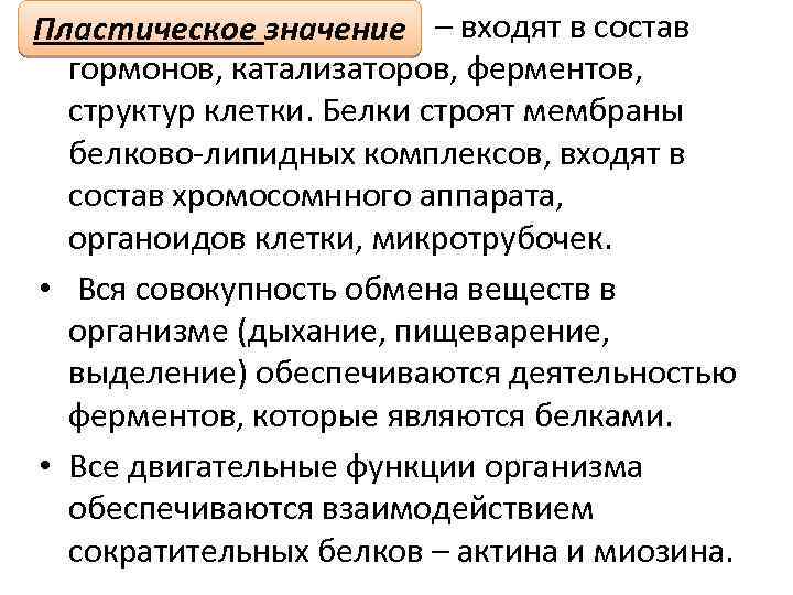  • Пластическое значение – входят в состав гормонов, катализаторов, ферментов, структур клетки. Белки