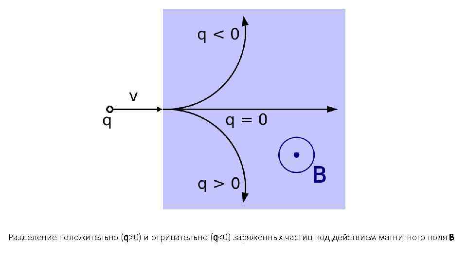 Разделение положительно (q>0) и отрицательно (q<0) заряженных частиц под действием магнитного поля B 