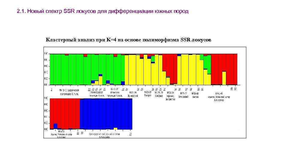 2. 1. Новый спектр SSR локусов для дифференциации южных пород Кластерный анализ при K=4