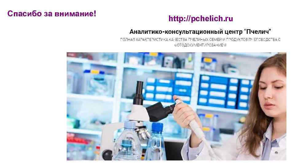 Спасибо за внимание! http: //pchelich. ru 