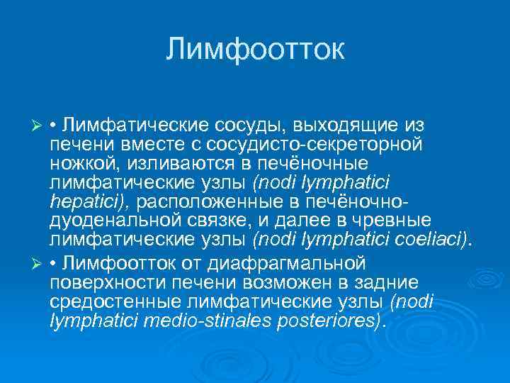 Лимфоотток • Лимфатические сосуды, выходящие из печени вместе с сосудисто-секреторной ножкой, изливаются в печёночные