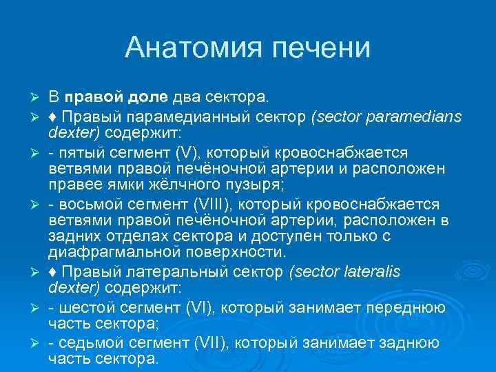 Анатомия печени Ø Ø Ø Ø В правой доле два сектора. ♦ Правый парамедианный
