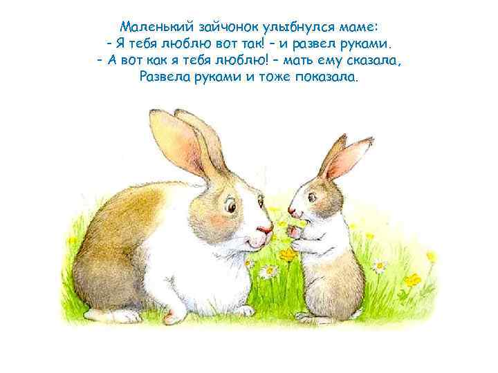 Маленький зайчонок улыбнулся маме: - Я тебя люблю вот так! – и развел руками.