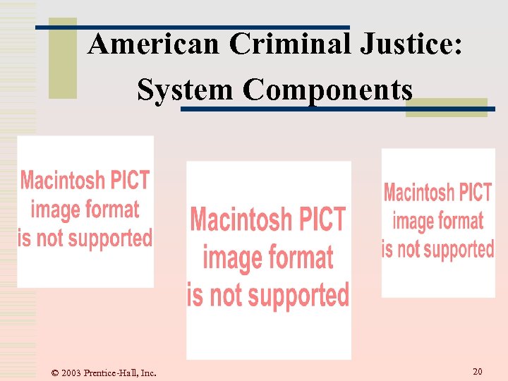 American Criminal Justice: System Components © 2003 Prentice-Hall, Inc. 20 
