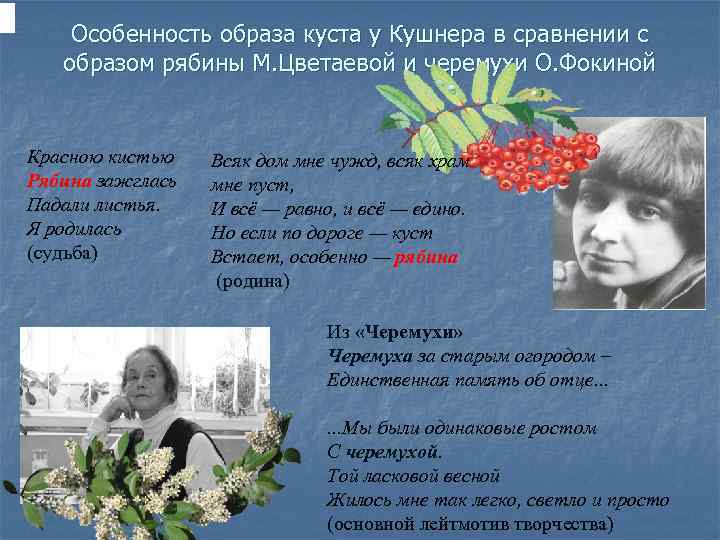 Особенность образа куста у Кушнера в сравнении с образом рябины М. Цветаевой и черемухи
