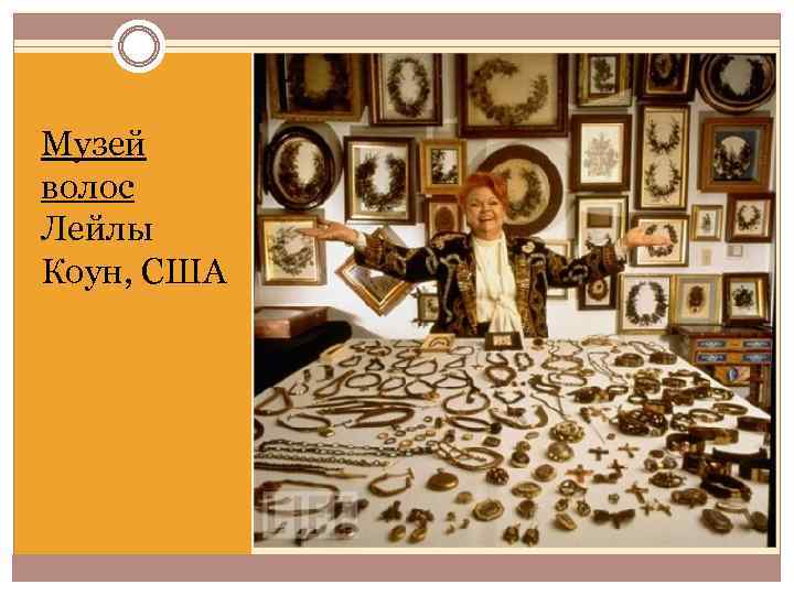 Музей волос Лейлы Коун, США 