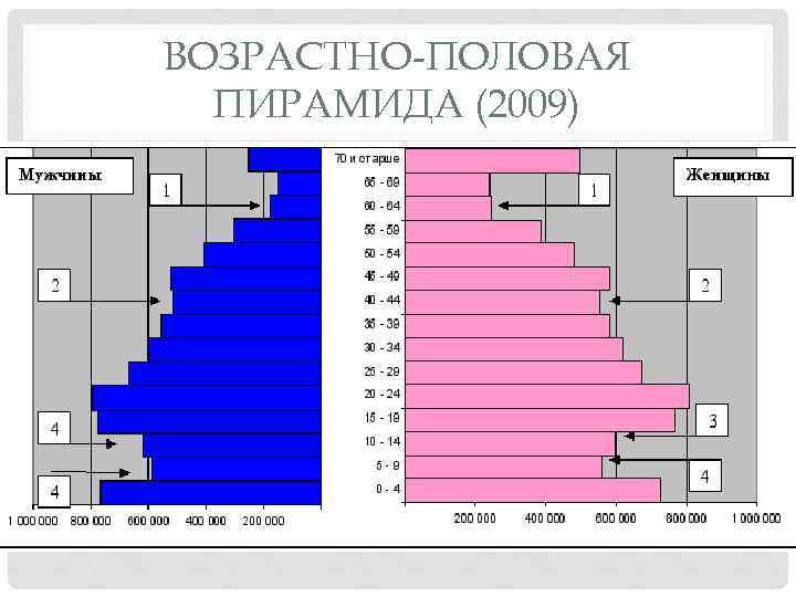 ВОЗРАСТНО-ПОЛОВАЯ ПИРАМИДА (2009) 