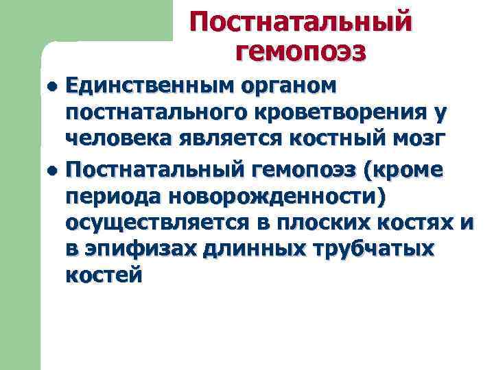Постнатальный гемопоэз Единственным органом постнатального кроветворения у человека является костный мозг l Постнатальный гемопоэз