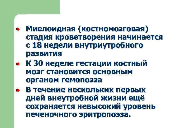 Миелоидная (костномозговая) стадия кроветворения начинается с 18 недели внутриутробного развития К 30 неделе гестации